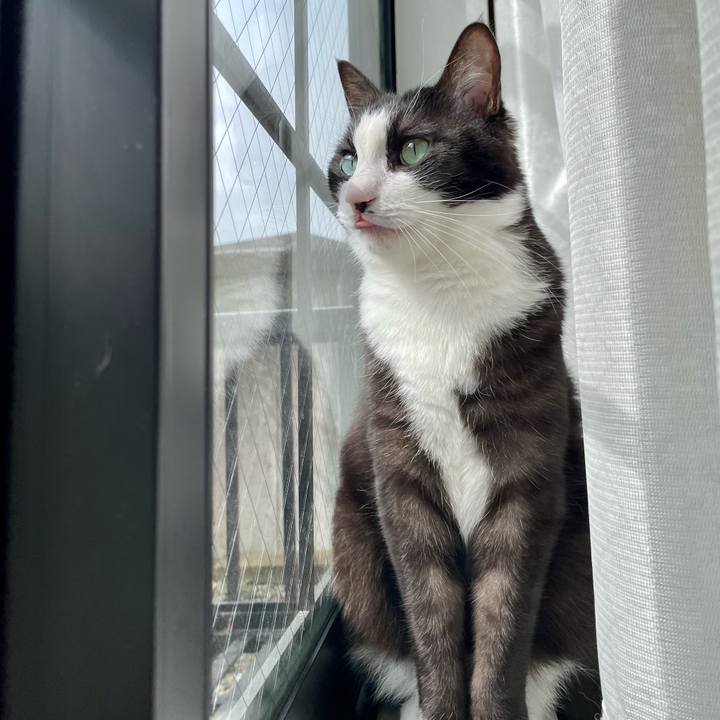 Faf6a026 608c 4bca 9dd6 355d92135d24 1649385614462