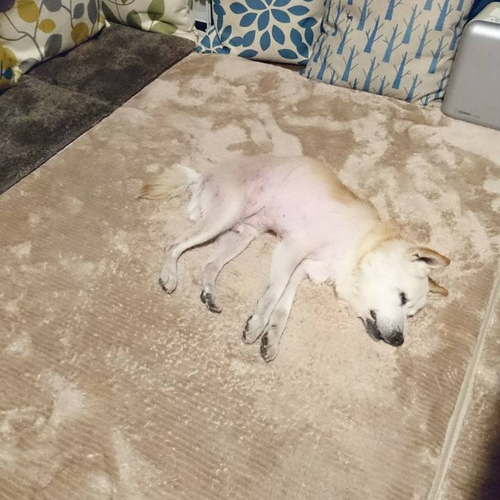 Faf6a1d1 a7af 4540 b4eb 0ea20931eb72 1559365894284