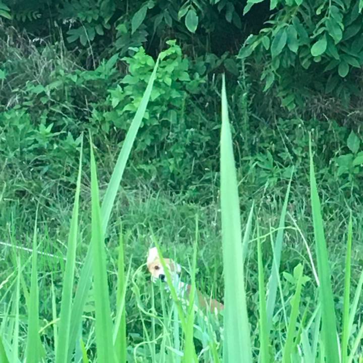 Faf6a8e2 41de 484e 85c6 ba1531956986 1593482482327