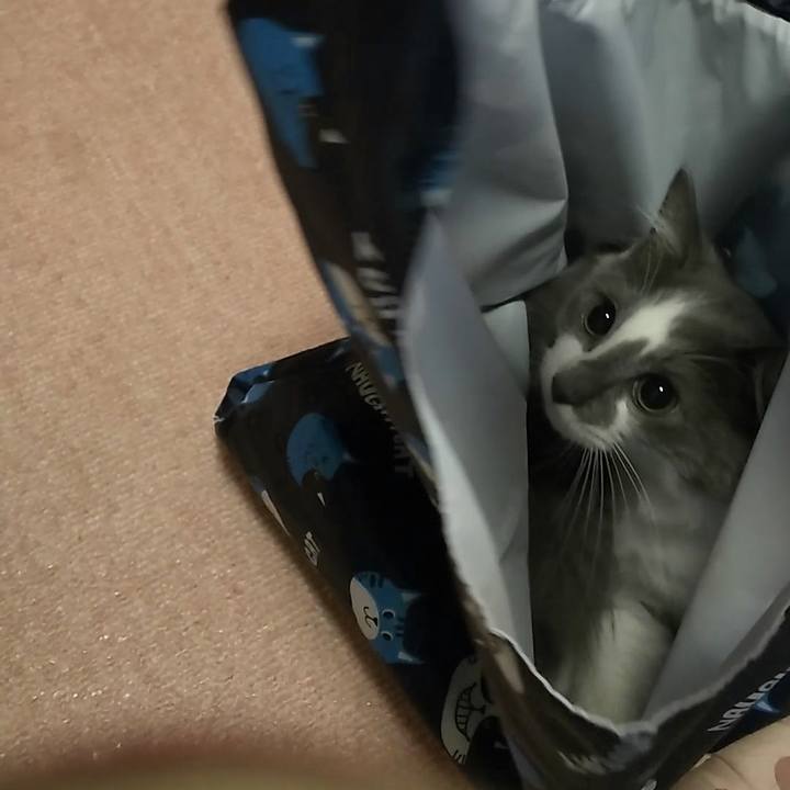 Faf6d12e 63a4 4a79 8f28 2a5fa0e804c8 1566945677370