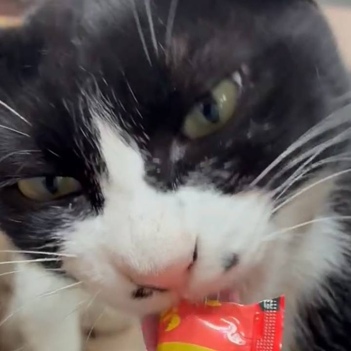 Faf6daa2 b0fe 4ea5 b02e 92a7934a604f 1751595854170