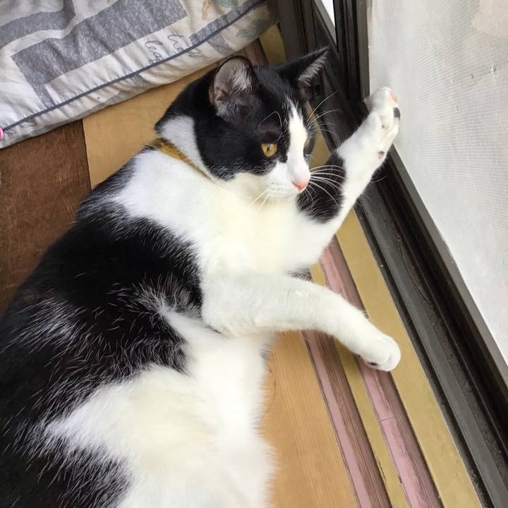 Faf6dacc 9009 4db1 aaf9 4b5ff6bcad1a 1647153348059