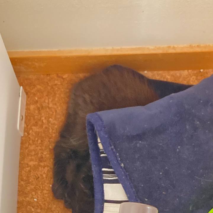 Faf6dbeb 7205 46e1 a90d 989890f45568 1697956022346