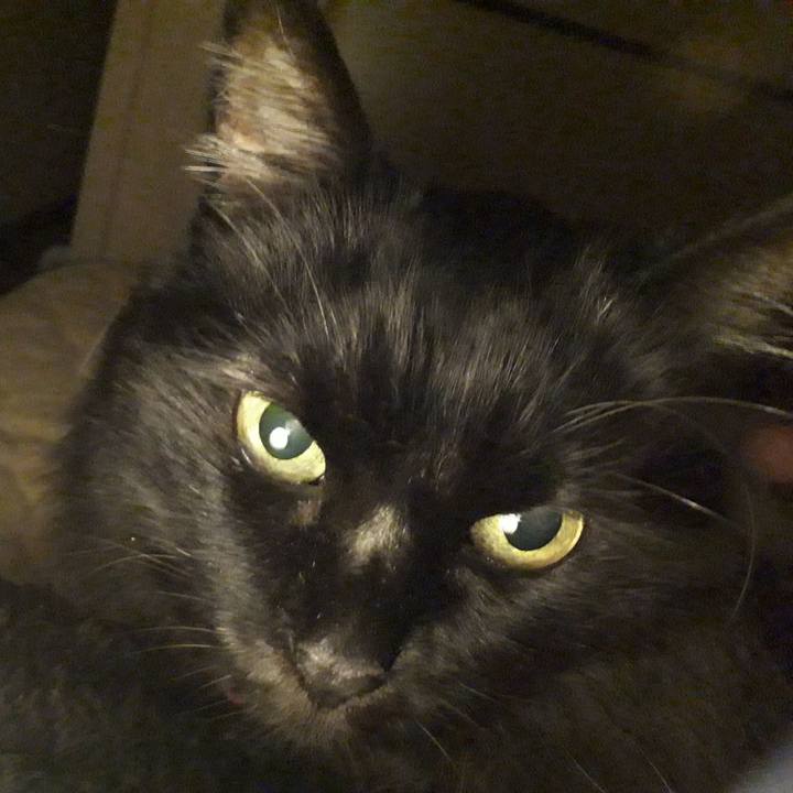 Faf6ef8e a06d 419a a774 58c219d8a538 1542720726251