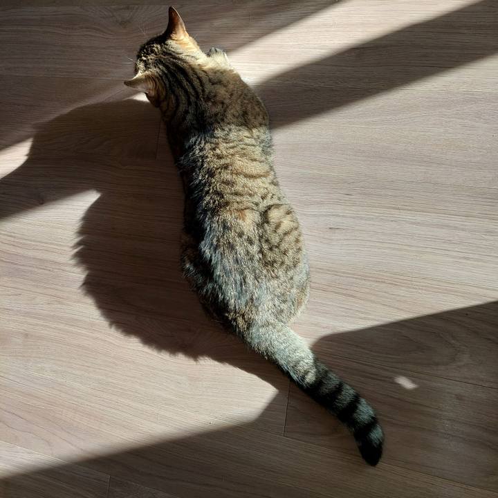 Faf728d9 711d 4b07 a280 b434aaf5a7b9 1767055264312