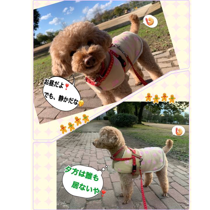 Faf7a6c6 7514 4f97 8828 2128ddf3c28b 1544692117759