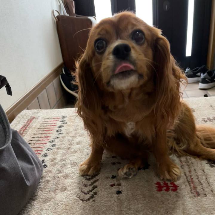 Faf7a8ed db8c 4d65 a2ba 5a745204c270 1664922258890