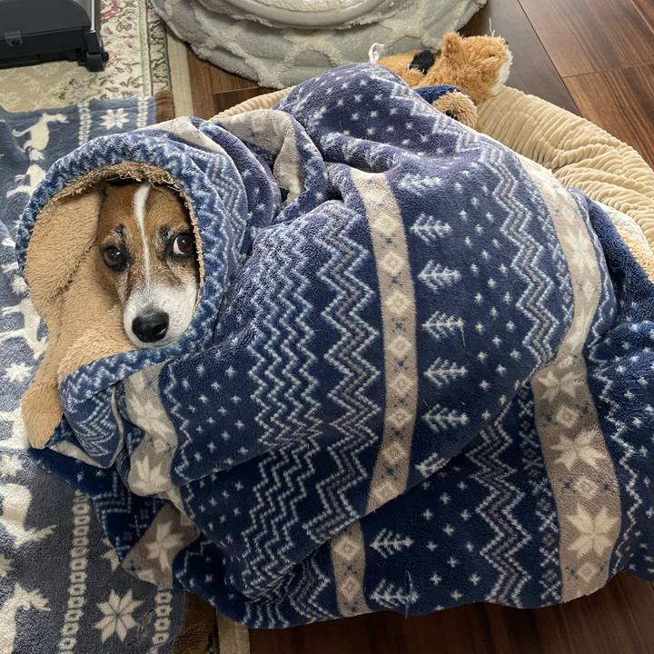 Faf7b8df 427b 4a3c 8805 8b83964d4fe1 1738988022678