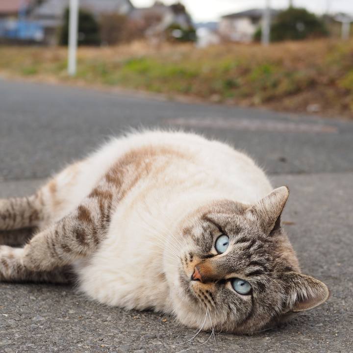 Faf7e5b6 aa59 4f60 bfc0 c03958a19319 1610848249379