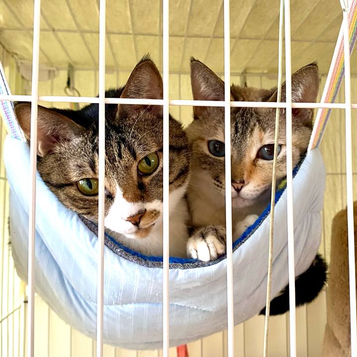 Faf80115 b237 4a88 8cfa c94d76cb4ef9 1746933840038