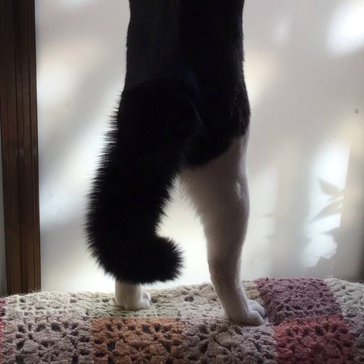 Faf81934 3e2b 4845 8d35 d1298b441d6b 1675039081901