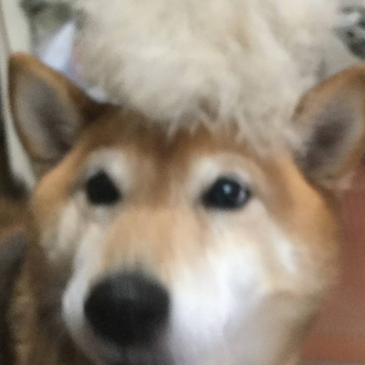 Faf82551 0960 4a88 ad35 411ec003f3fc 1583109914540