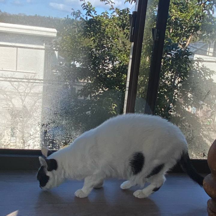 Faf8628a e4f1 4d15 ab1c b96fe23196e8 1742615476634