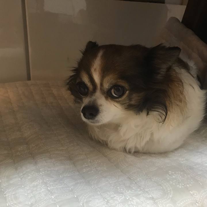 Faf87fc4 2cad 454c 82f2 e0bd5a8a1b44 1650342288795