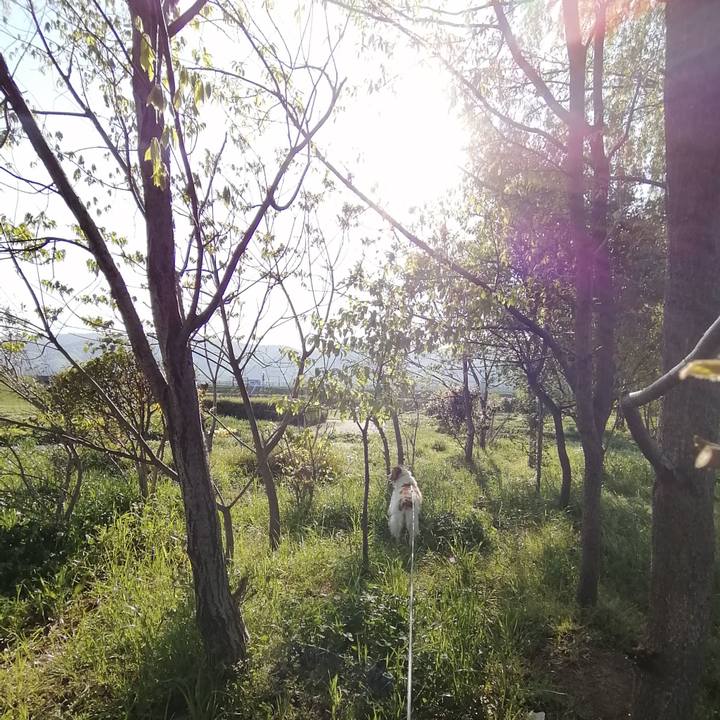 Faf887cc 8ea6 4458 a470 9ad5a851771f 1587865002958