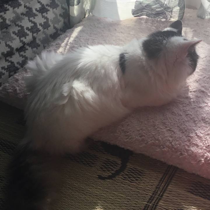 Faf8a775 65dd 44f0 91c3 6a4c5e7223b6 1573454578863