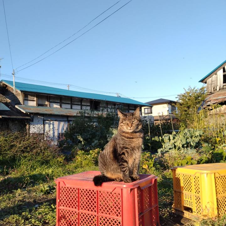 Faf8add1 efc8 4212 a0d7 5ba8ae9c29ea 1697100171632