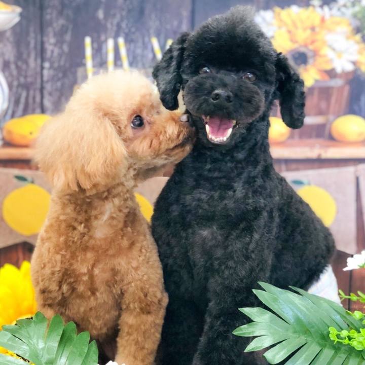 Faf8efb2 3b42 4037 9169 dc113e5f72b9 1725084320315