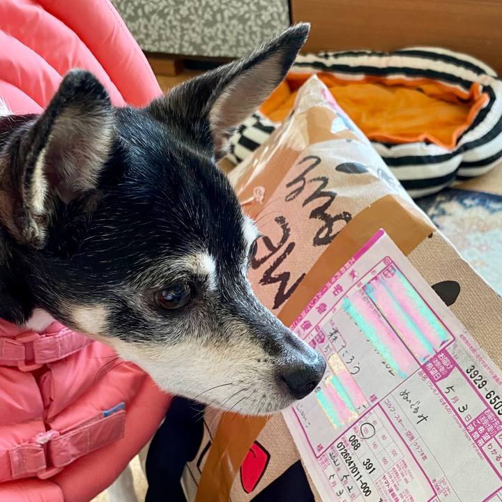 Faf90372 e12d 4a2c 9dee 7bd50ff7acce 1620017290538