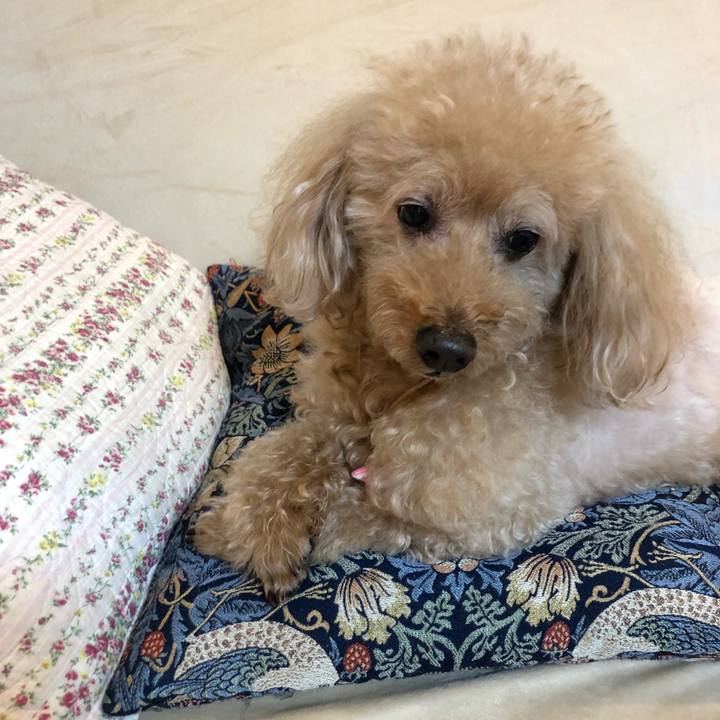 Faf91254 7f98 4b37 905f 3ef20e223a0d 1562640494738