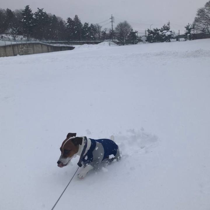 Faf91662 cc51 4220 9310 4824d8722461 1546666301957