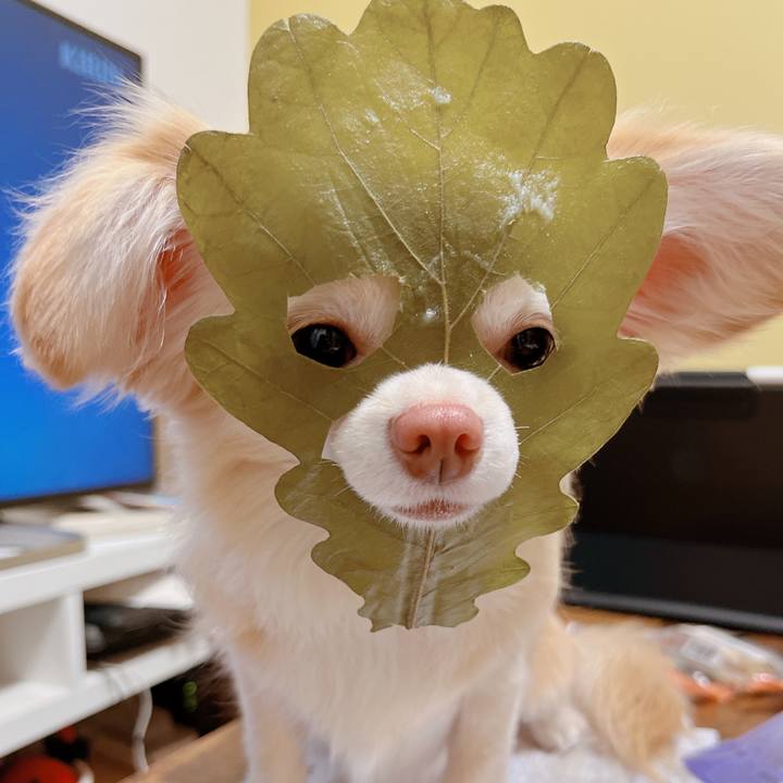 Faf940a7 1634 4e17 a29a 69798b899982 1681381629086