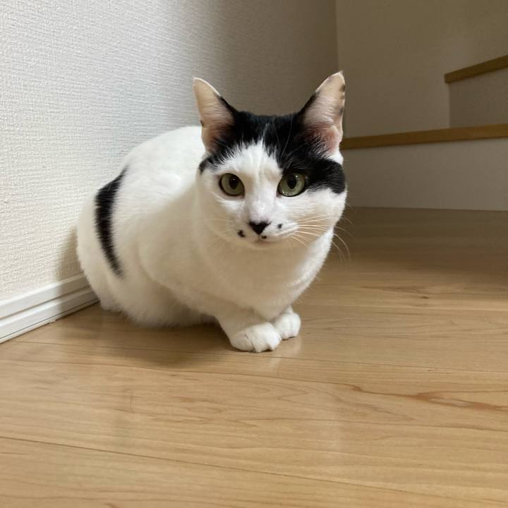 Faf9567f 1ec1 44c6 ae16 b4d5bfac6173 1770498766938