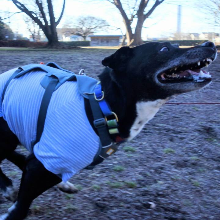 Faf95fd3 aa53 447d abd3 cd7a177bc604 1707613620119