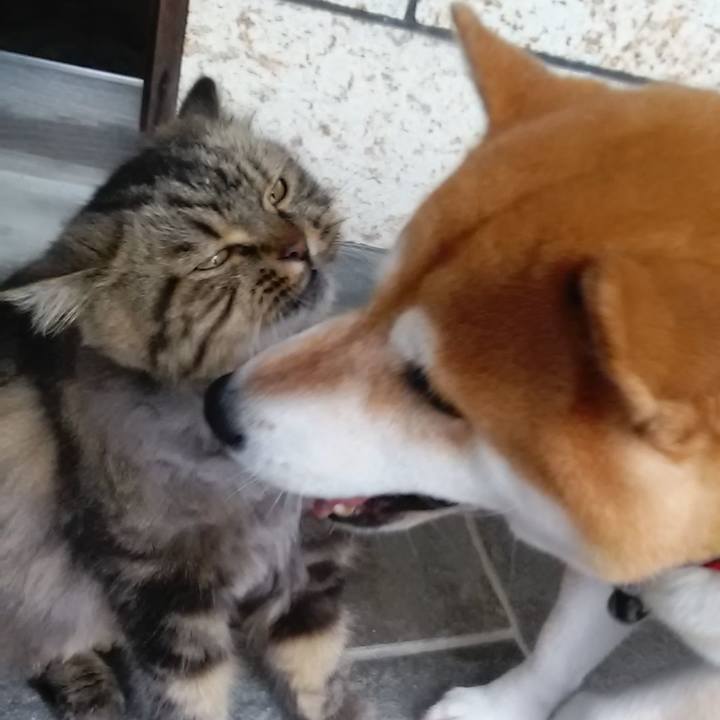 Faf96dce dd2d 4826 8c4e c6c9843733fc 1629677857308