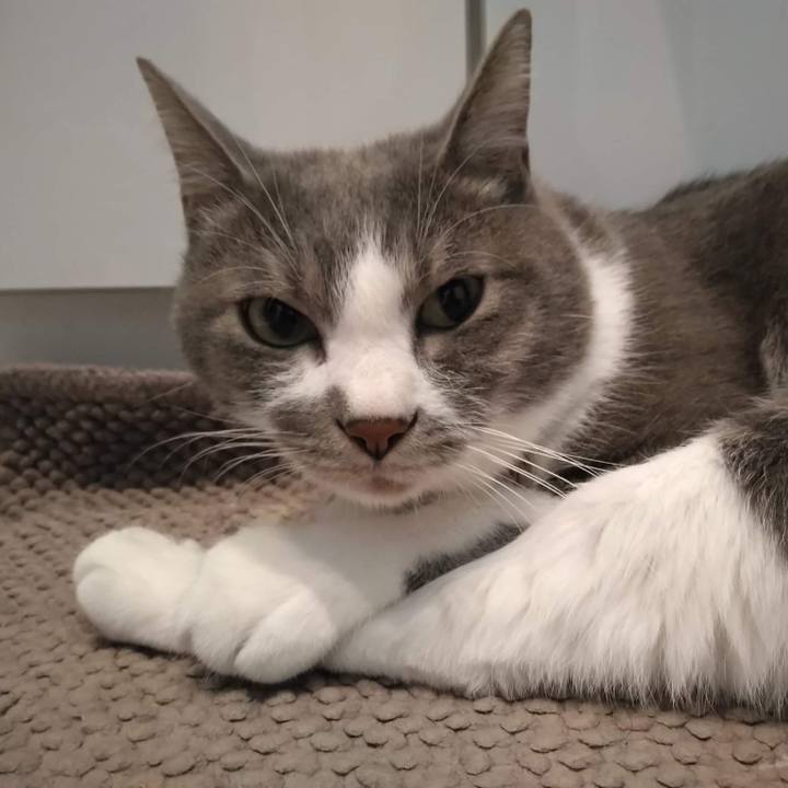 Faf9961c 9934 4978 9fe2 0abcdca28677 1667477232691