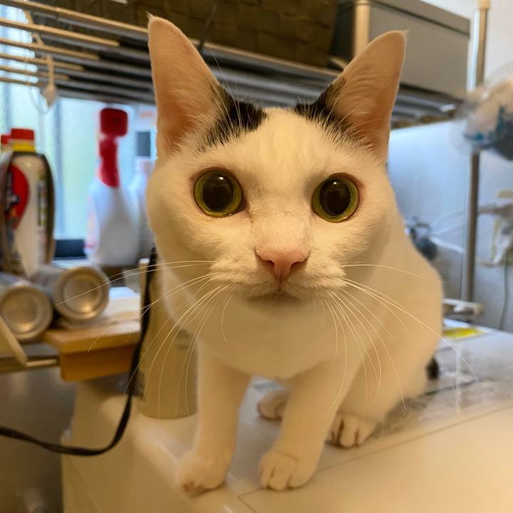 Faf9a276 32c9 40f0 9179 4b5f28fb047d 1760403090275