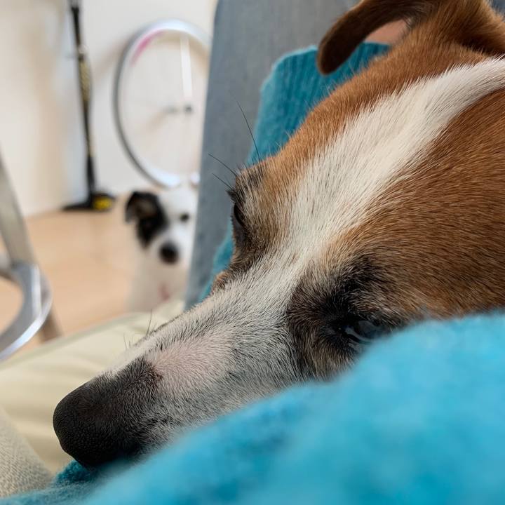 Faf9af2f 6a01 42bc b78c a428a146820a 1552371078959