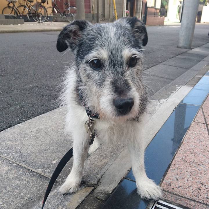 Faf9b2a0 a796 4de1 9fc4 9231cd251ff2 1615511255069