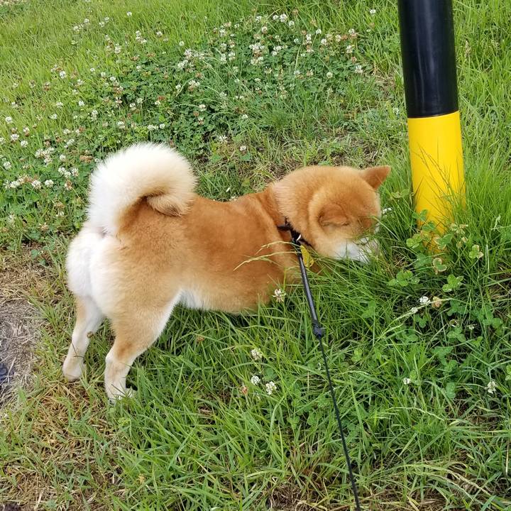 Faf9daa3 ed10 4954 964c fe47cd165974 1592033465175