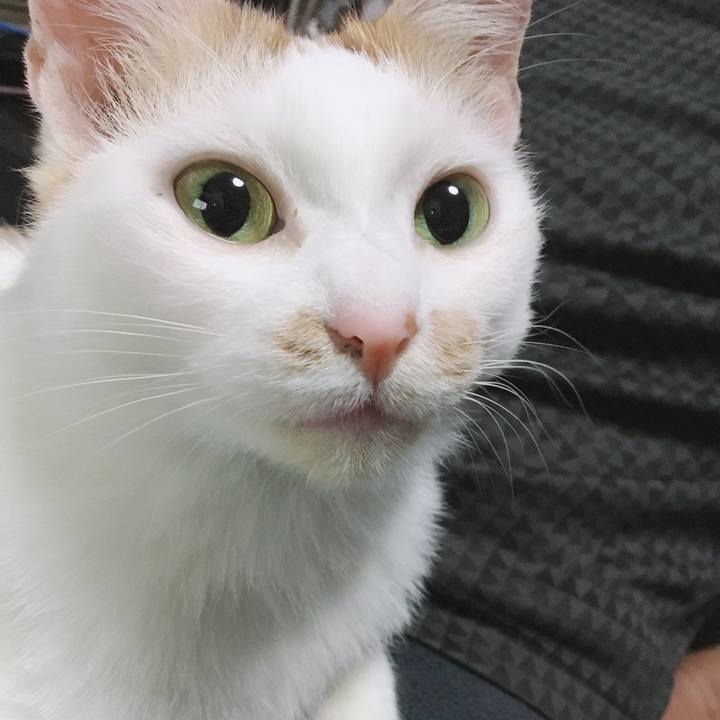 Fafa159c c9bd 4cb7 b93a b3876b64ef72 1577265353576