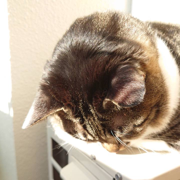 Fafa43d4 ed9e 4a9d a2e8 b7763bcb9353 1601685992500