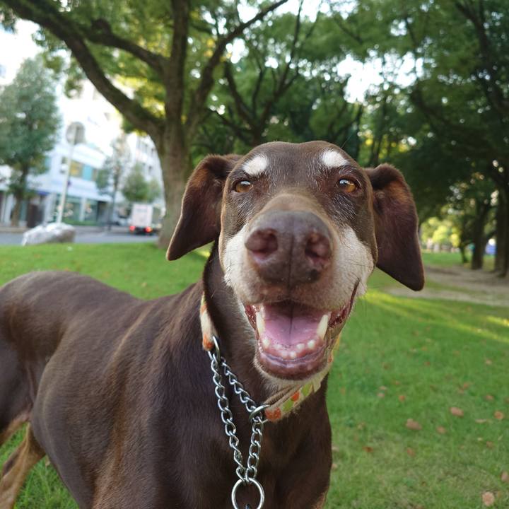 Fafa4bd7 fa77 47f8 93b1 e2e74ee61d6d 1764126544322