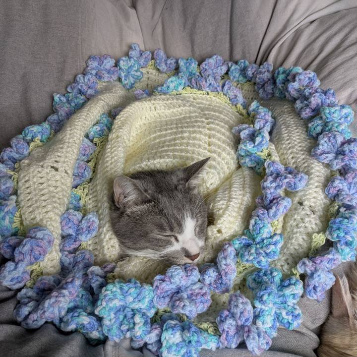 Fafa52f9 e08b 4883 a479 d996fff24c80 1761955780175