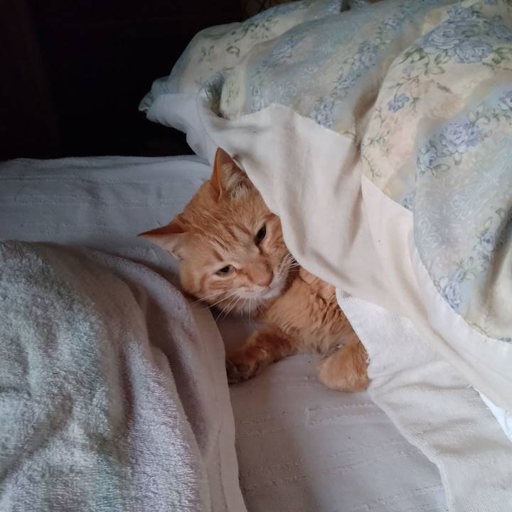 Fafa6b70 a846 4624 9bbe 2308aa6a4c50 1715292439931