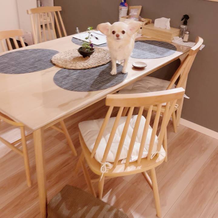 Fafaaf6b 7c42 4c69 be5f d2abfe980215 1699358413104