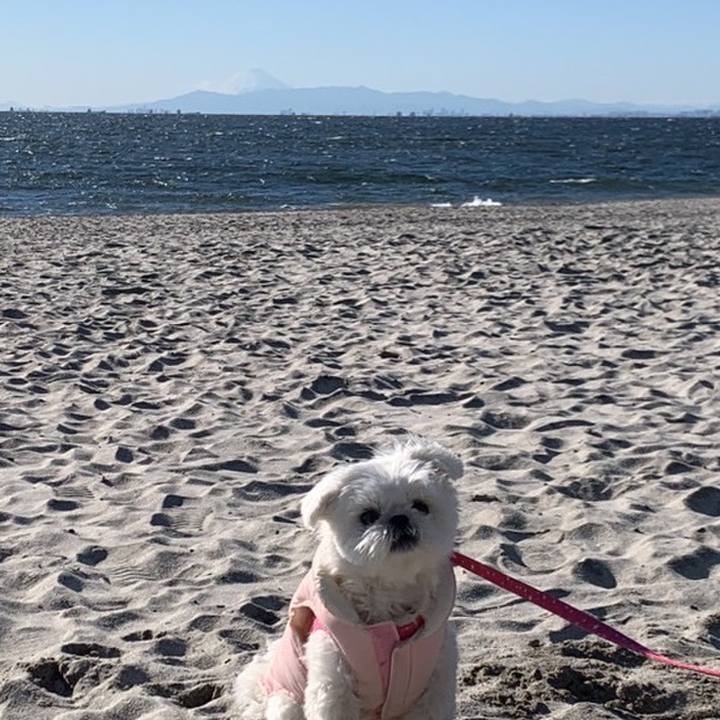 Fafac705 a3dd 439f 89bc b0c9d1fd5899 1641999531494