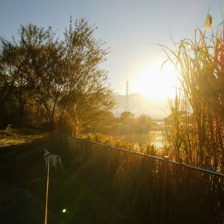 Fafacf50 6652 43a5 9cdc 39071a018ad1 1542329916146