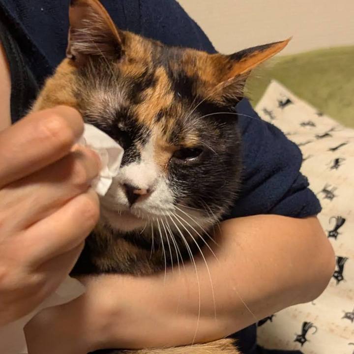 Fafaf18c a972 4e42 9f76 c0f19059d676 1749968955816