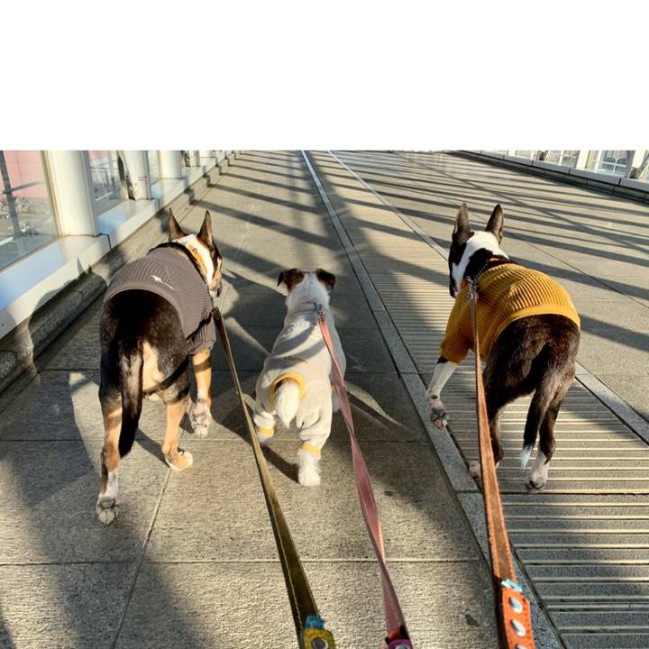 Fafaf368 ebdf 404e a578 5a30cecfe05b 1614429172339