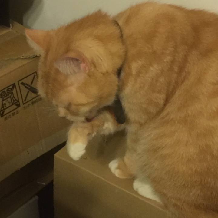 Fafb0c45 bf17 43b6 9cf9 9b0922b97d73 1547907454758