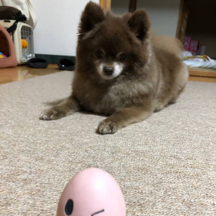 Fafb734a 1258 40d3 82c6 9fd956e2272a 1638159831294