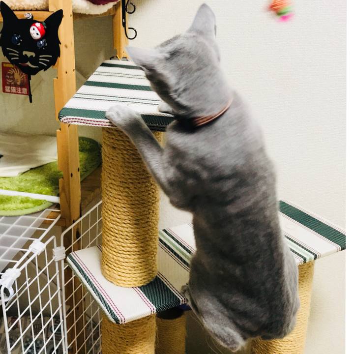 Fafb9e0b ad68 4356 9081 c28b3319b1c1 1515450768407