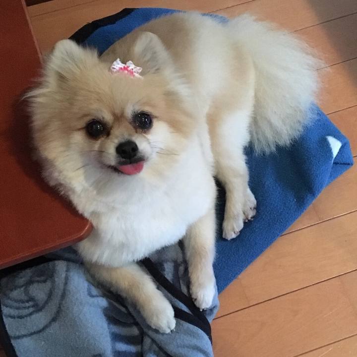 Fafbabd0 c815 4c89 b55e 345a0572b45a 1529355724572