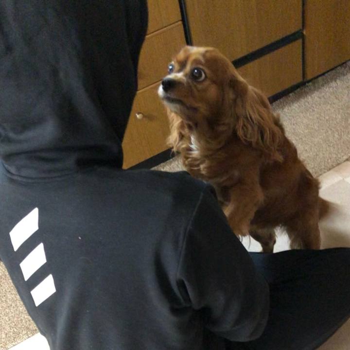 Fafbbd0a b809 4556 9511 01c1d74aa7e9 1634946231433