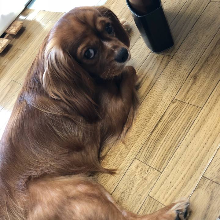 Fafbd1fe 3f69 490f bf2c 4cec3bf9b0aa 1534890196414